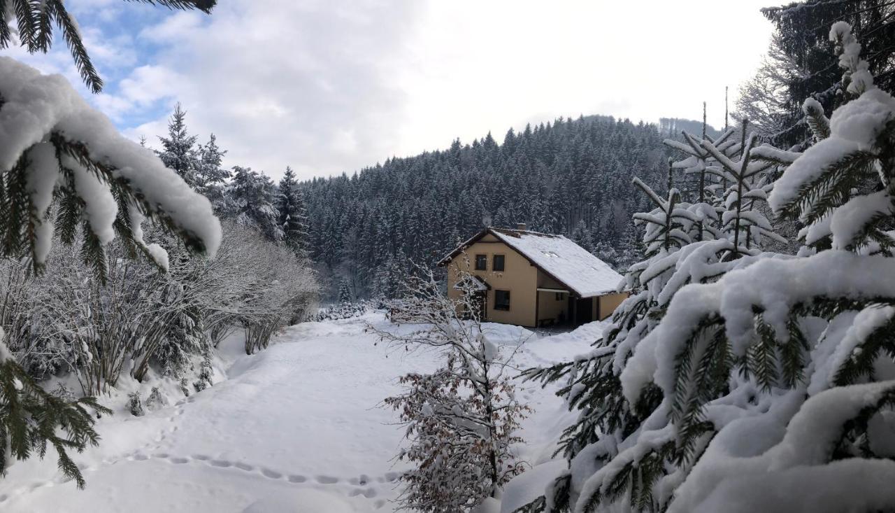 Chata Janet Martin Dış mekan fotoğraf