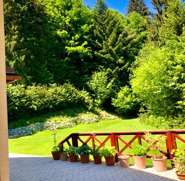 Chata Janet Martin Dış mekan fotoğraf